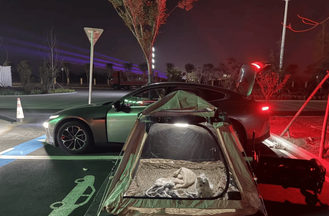 期间年轻人旅行掀起“帐篷过夜”热潮瓦力娱